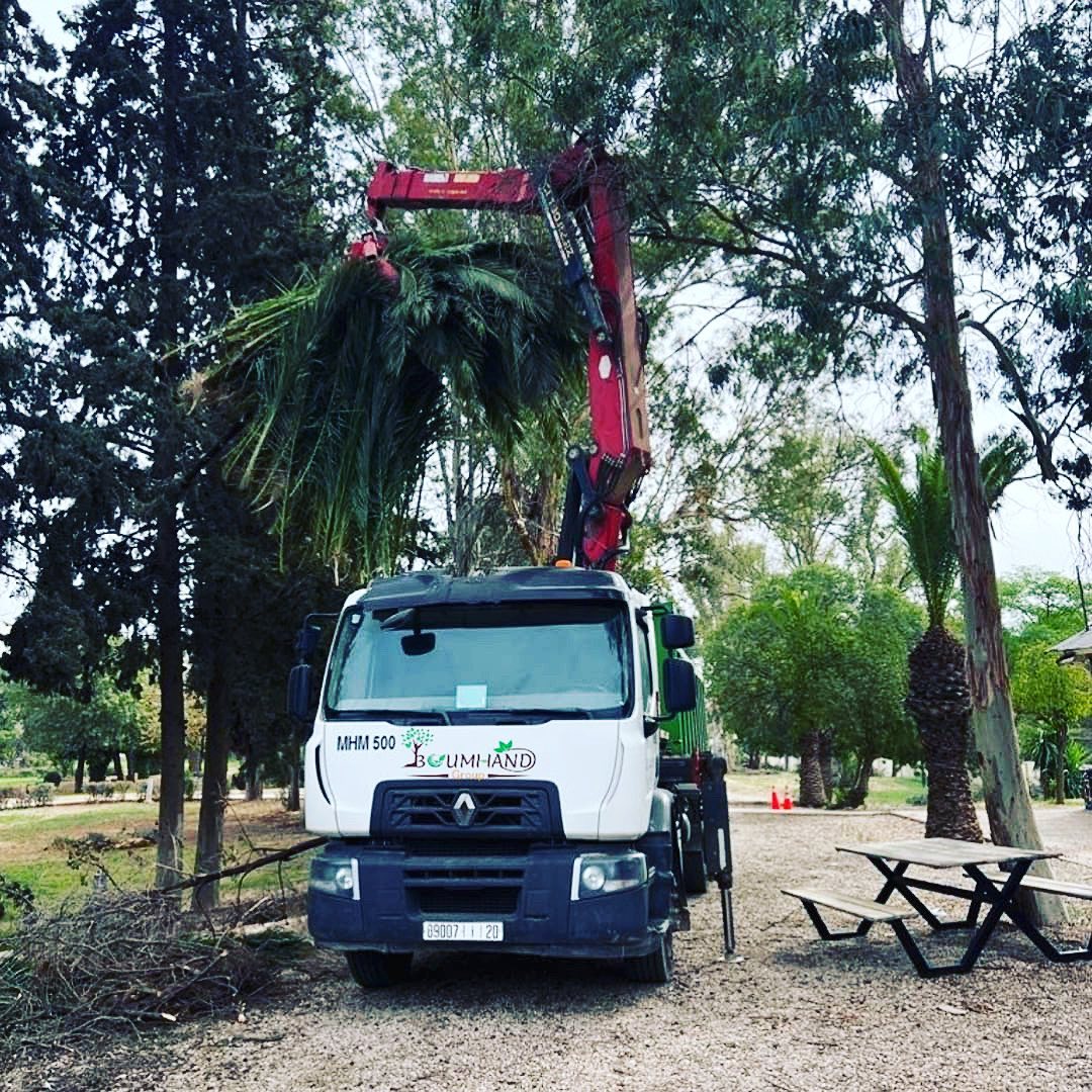 Jardin aménagé par Boumhand Group