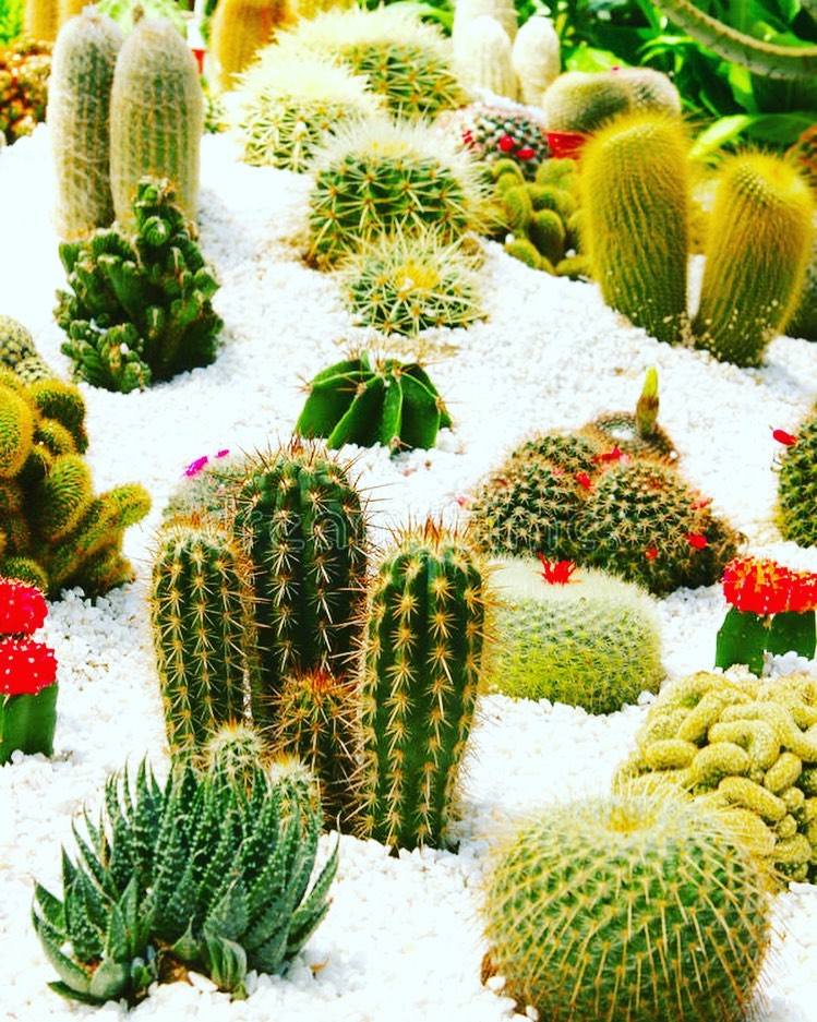 Aménagement jardin